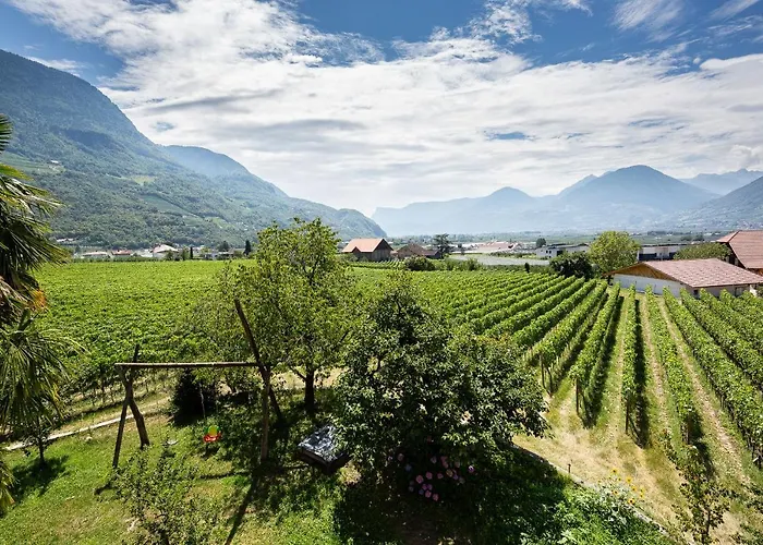 Torgglbauer 2 公寓