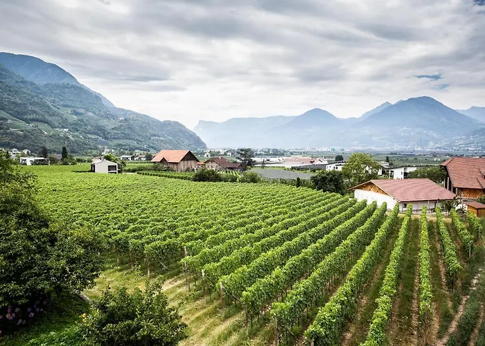 Torgglbauer 2 * 梅拉诺