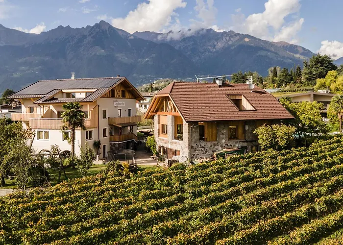 公寓 Torgglbauer 2 梅拉诺